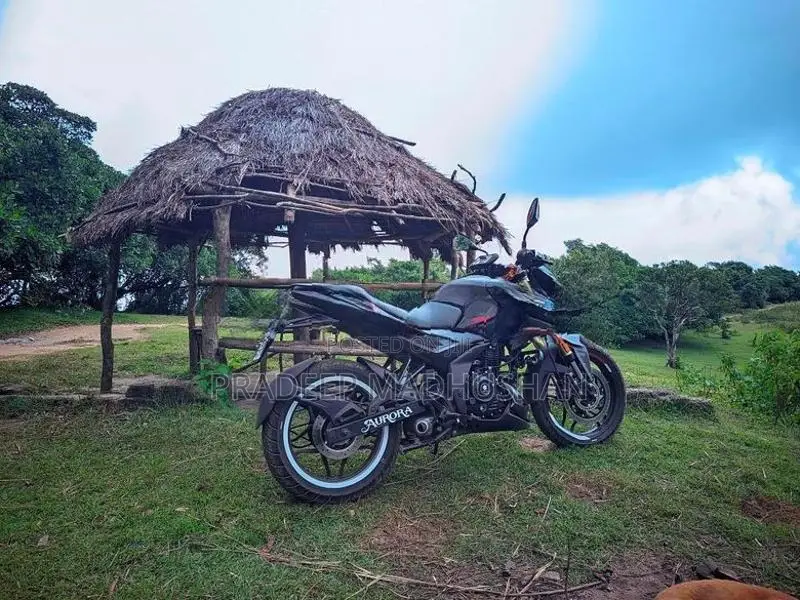 Bajaj Pulsar N160 Primeum 2025
