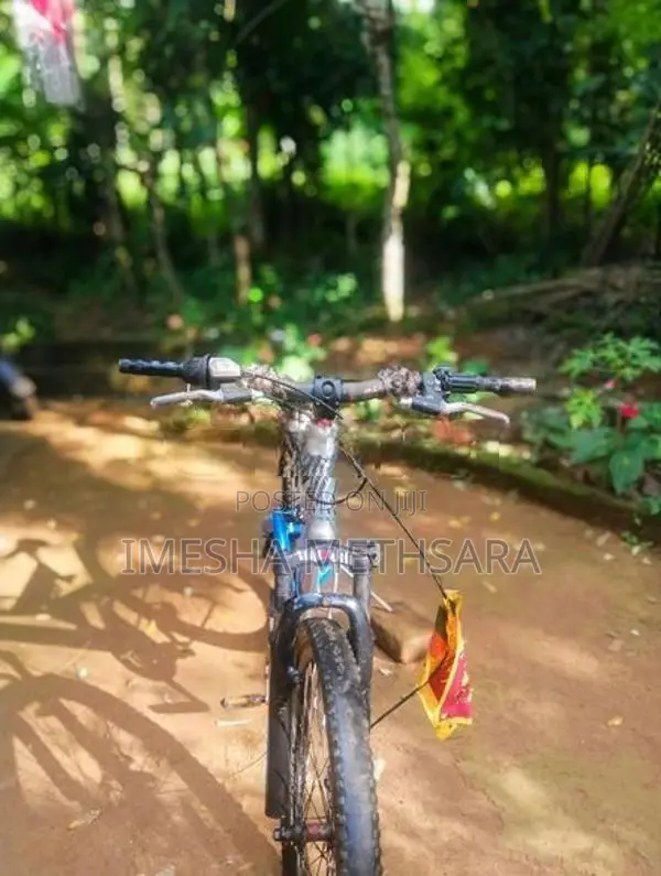 LUMALA Bicycle