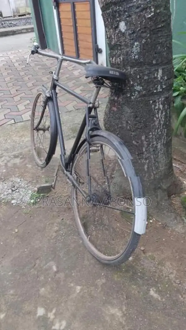 Raleigh Releigh Bike