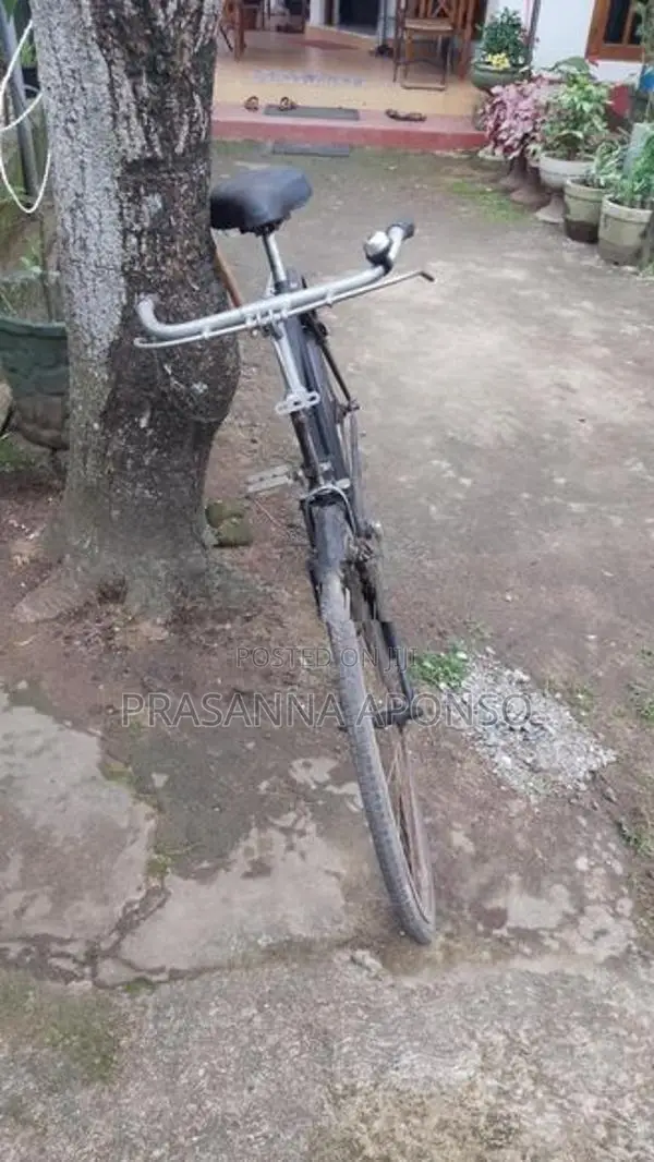 Raleigh Releigh Bike
