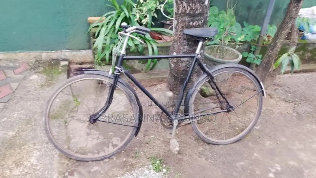 Raleigh Releigh Bike