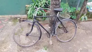 Raleigh Releigh Bike