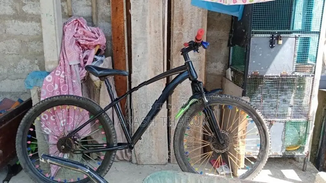 Lumala Jent Bike