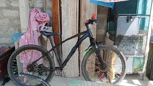 Lumala Jent Bike