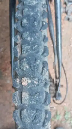 Lumala Jent Bike