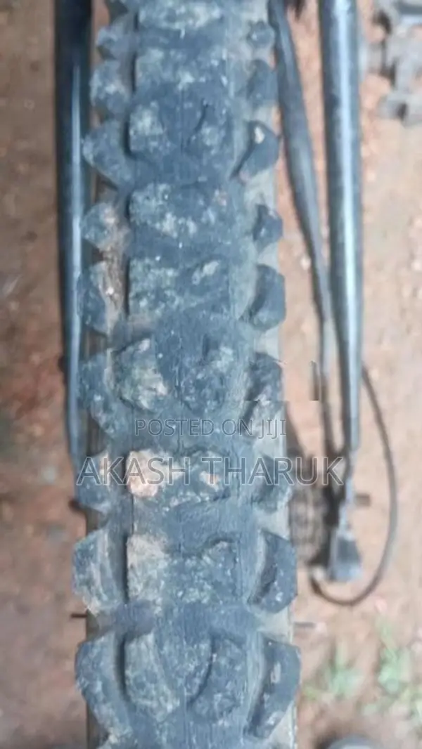 Lumala Jent Bike