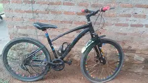Lumala Jent Bike