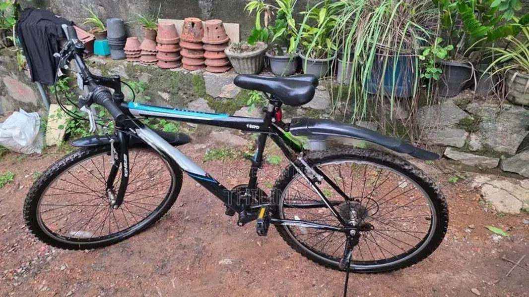 Ignite Mountain Bicycle