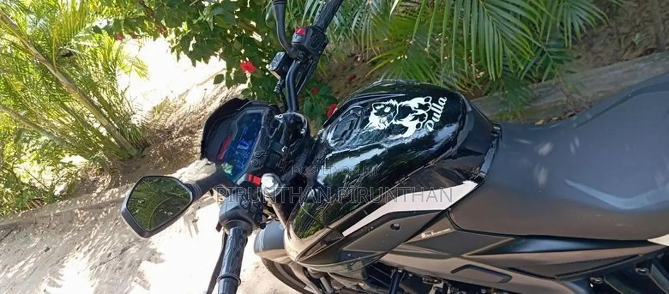 Bajaj Pulsar NS200 2025