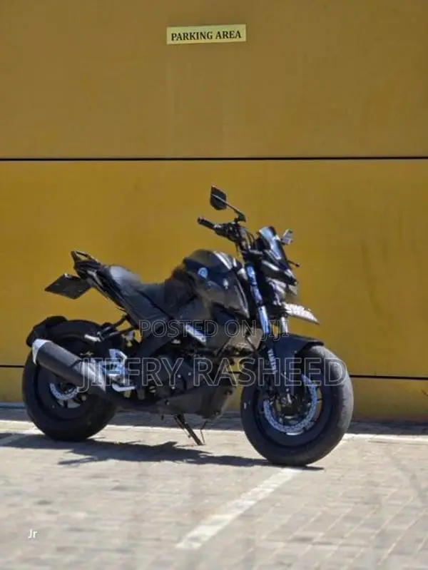 Yamaha MT 15 2019