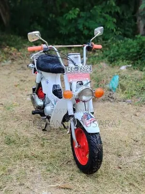 Honda Chaly 1994