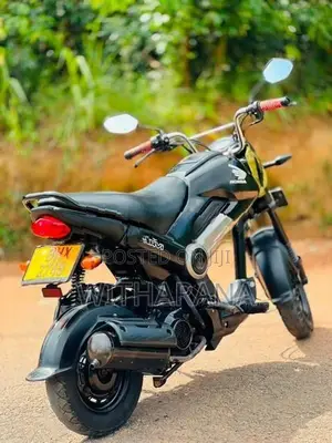 Honda Navi 2017