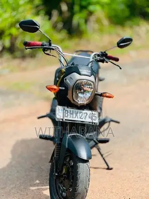 Honda Navi 2017