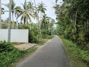 Hikkaduwa, Seenigama Raod 43 Perches of Land with an Old House for Sal