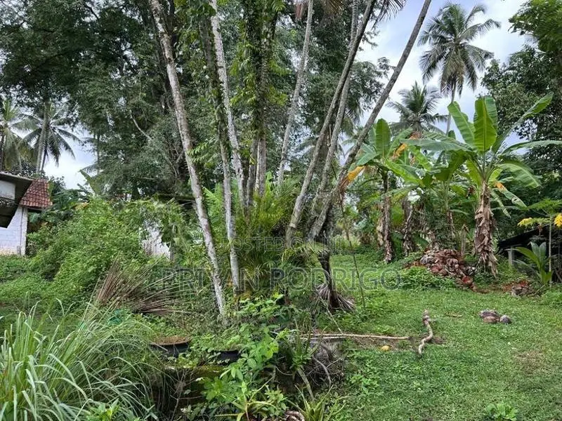 Gampaha - Hiripitiya Large Coconut Land with a House for Sale