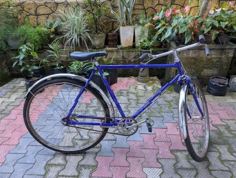 Bicycle