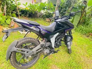 Bajaj Pulsar NS 125 2025