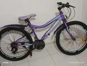 Ladies Bicycle - Tomahawk