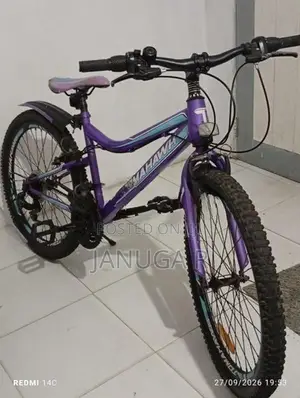 Ladies Bicycle - Tomahawk
