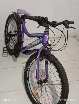 Ladies Bicycle - Tomahawk