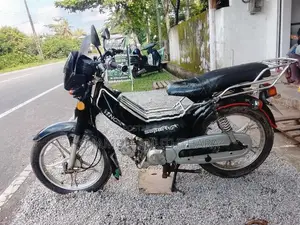 Singer Safari 4s 2018