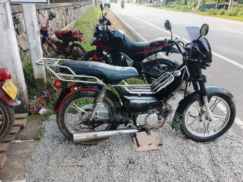 Singer Safari 4s 2018