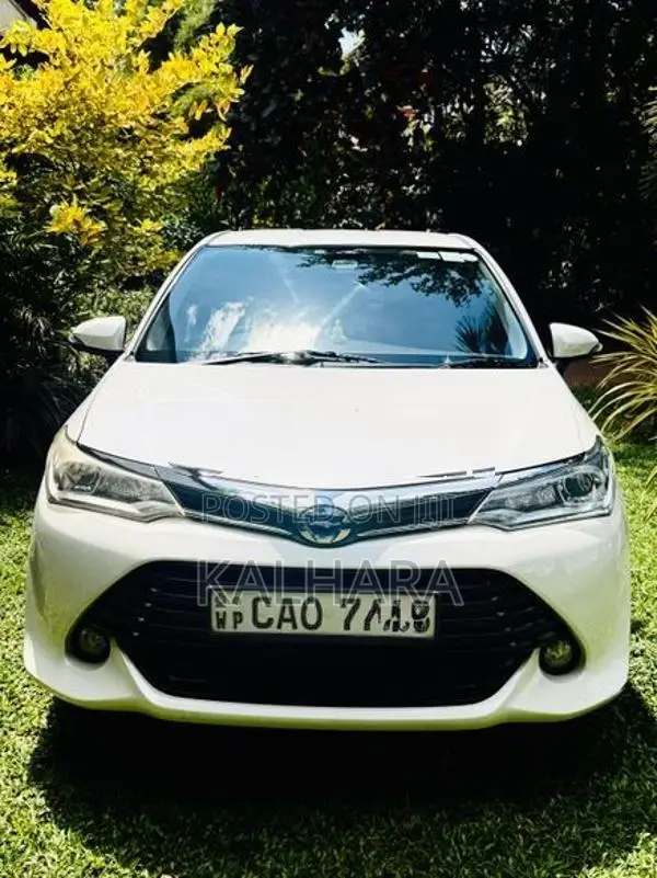Toyota Axio 2015