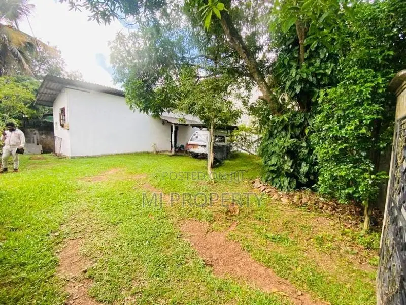 ( SR-1242) Valuable Single Storey House Rent In Malabe
