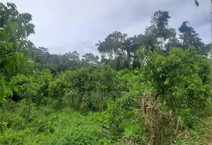 Land – Gonapinuwala, Hikkaduwa East