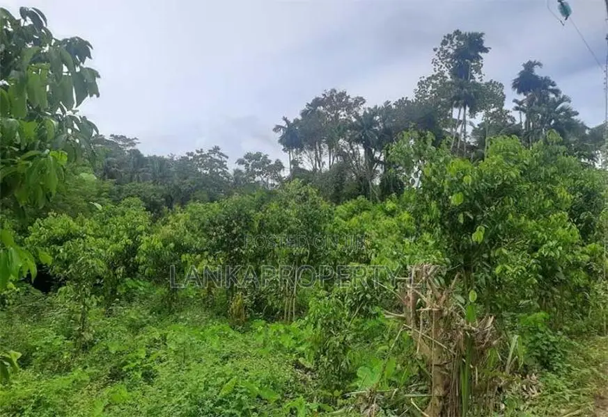 Land – Gonapinuwala, Hikkaduwa East