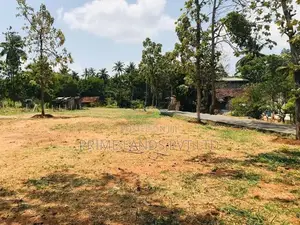 Land for Sale in Dambulla Pannampitiya