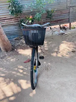 Lumala Bicycle