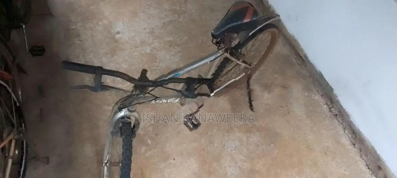 පාපැදි