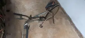 පාපැදි