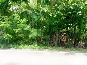 20 perches Land for sale in Negombo town Area.Negombo, Gampaha.