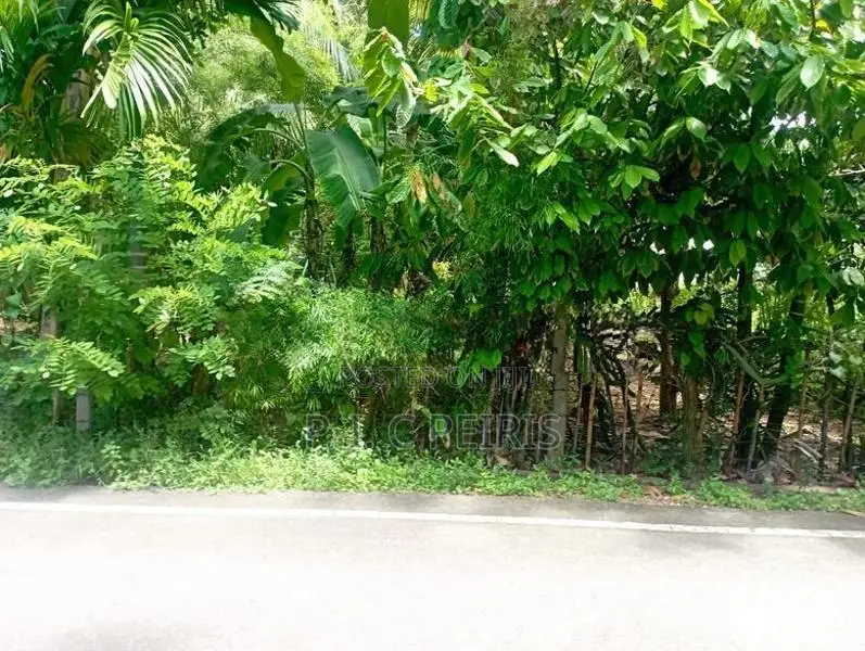 20 perches Land for sale in Negombo town Area.Negombo, Gampaha.