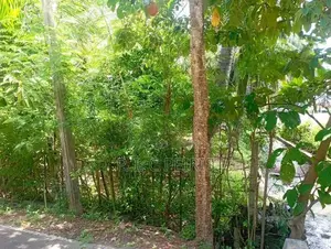 20 perches Land for sale in Negombo town Area.Negombo, Gampaha.