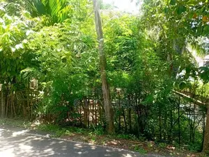 20 perches Land for sale in Negombo town Area.Negombo, Gampaha.