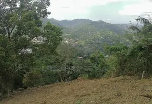 SCENIC 60-PERCH LAND FOR SALE – PRIMROSE HILL, KANDY