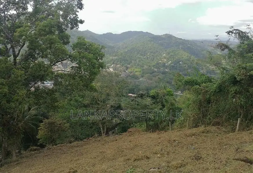 SCENIC 60-PERCH LAND FOR SALE – PRIMROSE HILL, KANDY