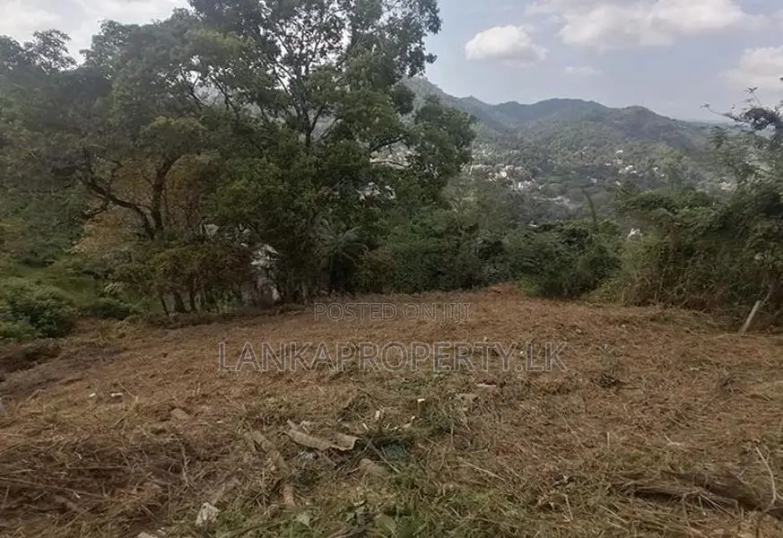 SCENIC 60-PERCH LAND FOR SALE – PRIMROSE HILL, KANDY