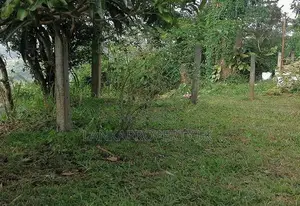 SCENIC 60-PERCH LAND FOR SALE – PRIMROSE HILL, KANDY