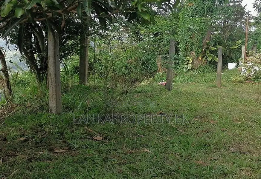 SCENIC 60-PERCH LAND FOR SALE – PRIMROSE HILL, KANDY