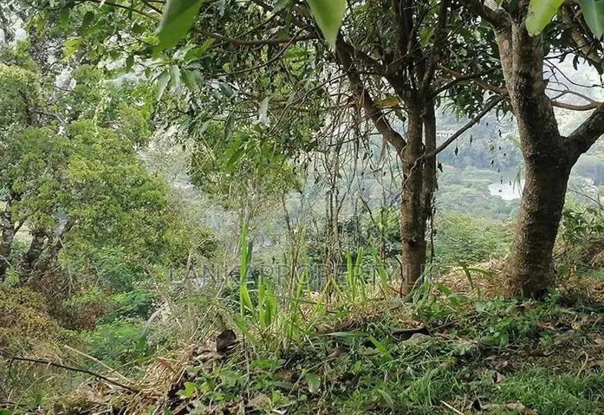 SCENIC 60-PERCH LAND FOR SALE – PRIMROSE HILL, KANDY