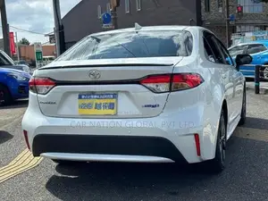 Toyota Corolla WxB 2024