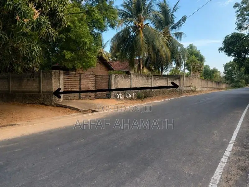 Land For Sale In Arugambay Arugam Bay