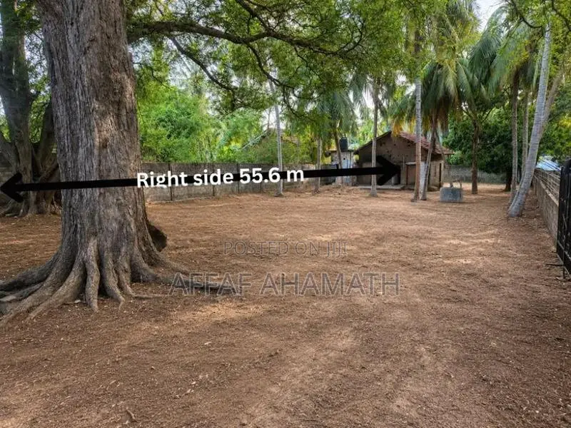 Land For Sale In Arugambay Arugam Bay