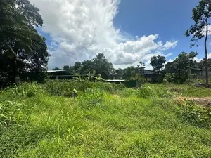 ( YC-1206) Valuable Commercial Land Rent in Panagoda