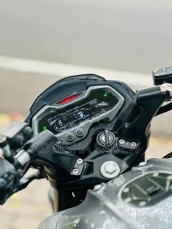 Bajaj Pulsar NS200 2026