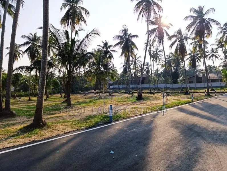 නයිවලින් බිම්කොටස්